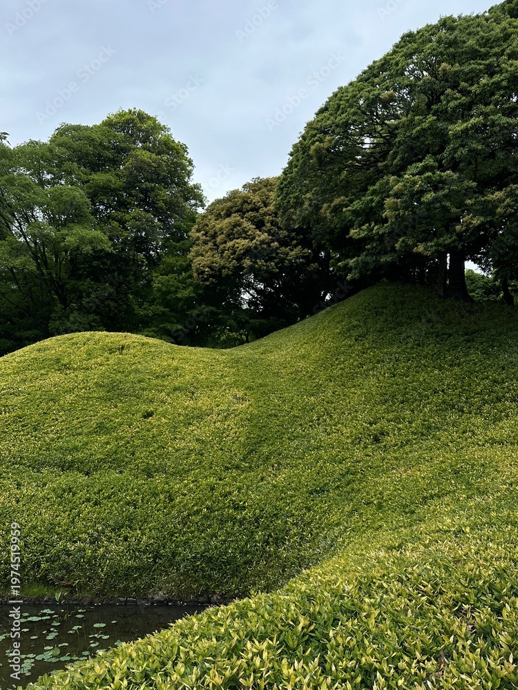 Obraz premium Green landscape with rolling hills and trees in Japanese park. Concept of nature, tranquility, and outdoor environment. Scenic view of lush greenery under cloudy sky.