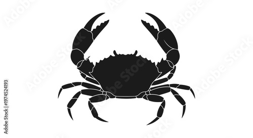 Black Crab Silhouette Illustration.
