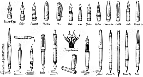 Hand-drawn Black  White Line Art Vector Set of Vintage Fountain Pen Nibs and Calligraphy Tools, Illustrating Various Writing Styles for Art and Education