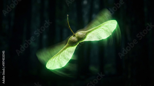 Glowing moth flying in dark forest with blurred background  