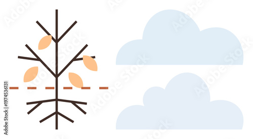 Seasonal transition, environmental awareness, nature , autumn concept, climate change, ecological balance. Minimal tree shedding leaves next to soft clouds. Seasonal transition and environmental