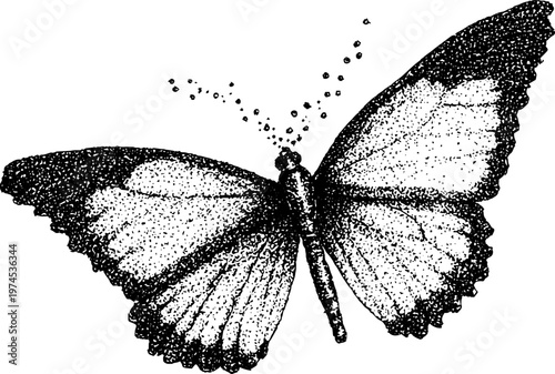 Butterfly fluttering with sprinkled scales on white background