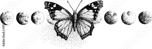 Butterfly centered among lunar phases in horizontal line on white background