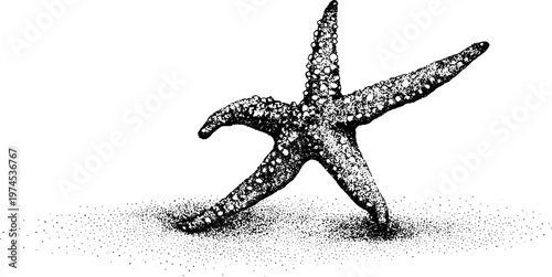 Starfish resting on sand with stippled shadow pattern