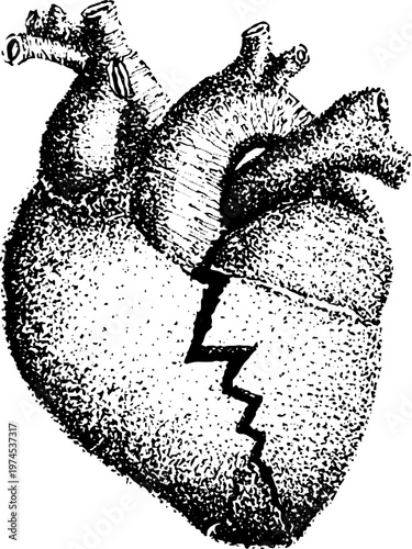 Anatomical heart split by jagged crack in ink illustration