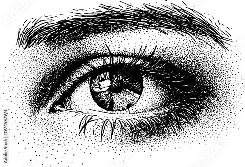 Human eye with eyebrow and ink stippling on white background