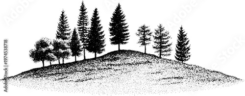 Cluster of conifer trees lining gentle hill ridge silhouette