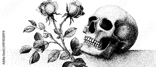 Skull beside rose branch on flat surface in monochrome