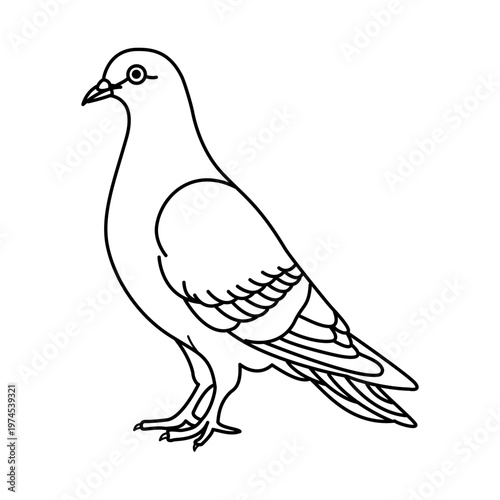 Pigeon Line icon. Vector illustration