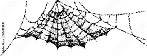 Corner spider web suspended between fine threads on white background