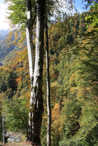 Autumn in the Caucasus Mountains