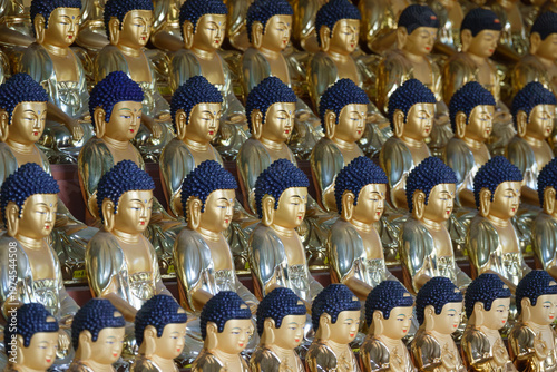 불상이 모여 있는 법당의 장면