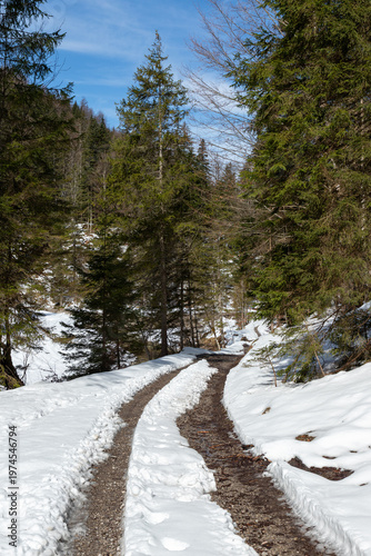 Narrow forest trail through late winter snow in Bavaria