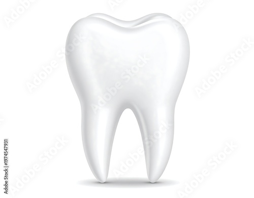 A pristine white molar with rounded edges, rendered on a white background, casting a subtle shadow