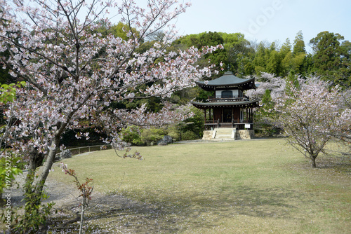 春の観修寺　観音堂　京都市山科区勧修寺仁王堂町