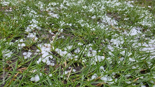 Close-up of hail on green grass after rain, fresh seasonal weather background for spring storm, cold snap, precipitation and environmental themes.