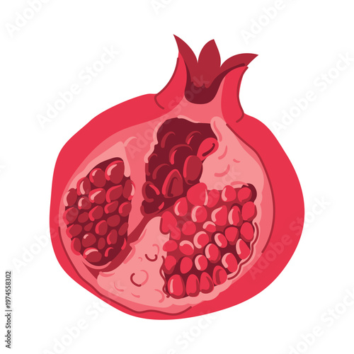 Vector image of fresh pomegranate, split open and revealing red seeds inside. Iranian fruit in flat style. Clipart for juice. Flavoring agent in perfumes and cosmetics. Natural antioxidant for health