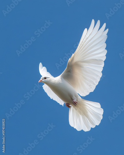 Weiße Taube, Friedenstaube, fliegt am blauen Himmel, Generative AI