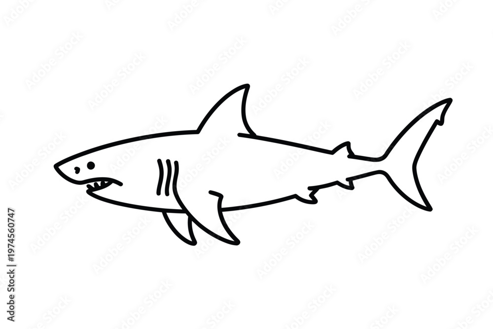 Obraz premium Simple line drawing of a great white shark swimming in profile