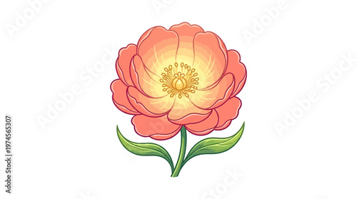 Beautiful Pink Peony Flower Closeup View.