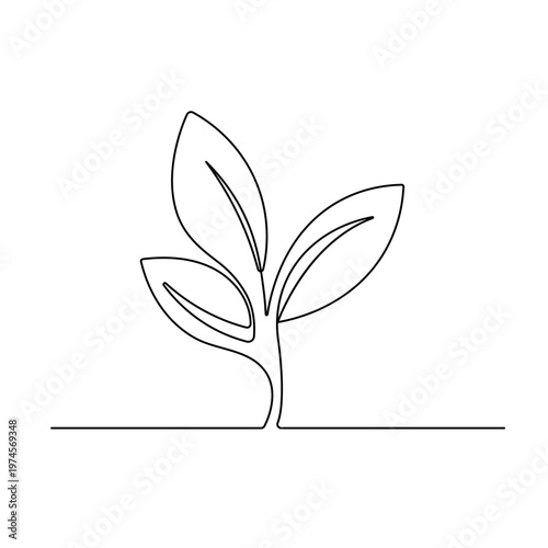 Continuous line drawing of a small plant growing with leaves and roots

