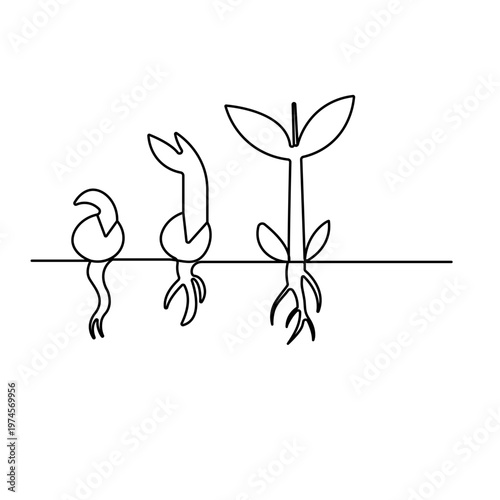Continuous line drawing of a small plant growing with leaves and roots

