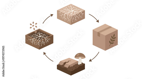Illustrative depiction of the complete life cycle from seed cultivation and sustainable packaging to natural decomposition, symbolizing a circular economy and ecological regeneration