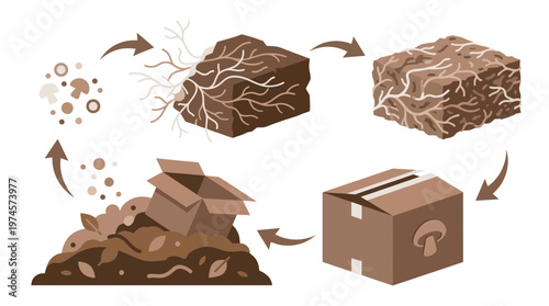 Dynamic process of mycelium growth and decomposition, transforming organic waste into sustainable biomaterials, promoting an ecological circular economy cycle