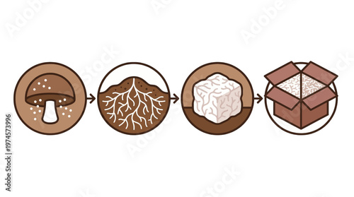 Conceptual diagram illustrating the sustainable process of mushroom mycelium cultivation, growth, and subsequent preparation for eco-friendly material packaging