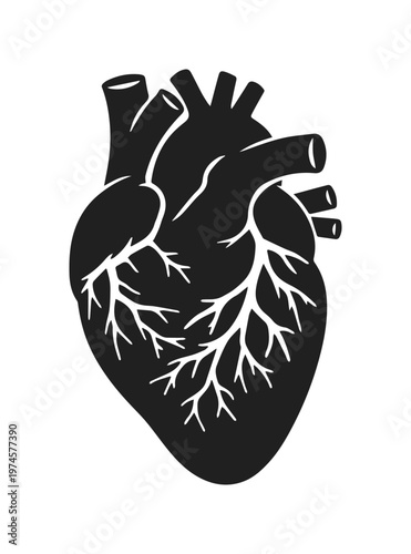 Corazón humano anatómico en estilo plano, ilustración vectorial de órgano cardíaco negro, icono médico de sistema circulatorio para cardiología