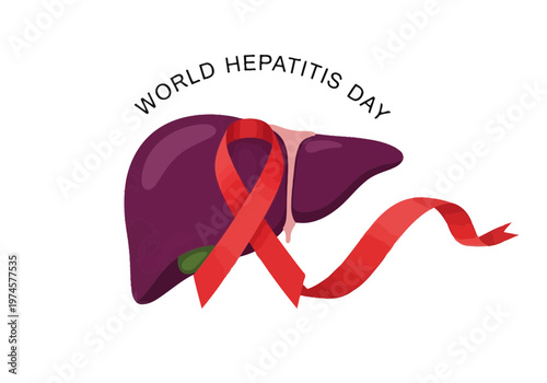 World hepatitis day concept with liver and red ribbon