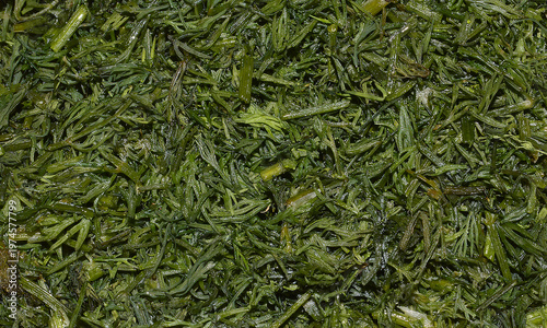 Salad isolated on white background