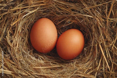 Fresh Farm Eggs in Bird Nest Top View Rustic Organic Agriculture Concept
