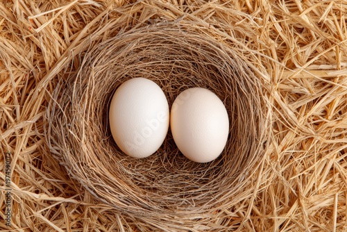 Fresh Farm Eggs in Bird Nest Top View Rustic Organic Agriculture Concept