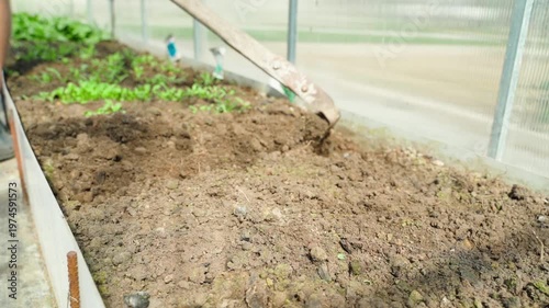 Wallpaper Mural Gardener working on garden bed in greenhouse on sunny spring day slow motion Torontodigital.ca