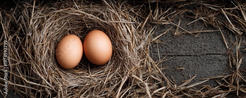 Fresh Farm Eggs in Bird Nest Top View Rustic Organic Agriculture Concept