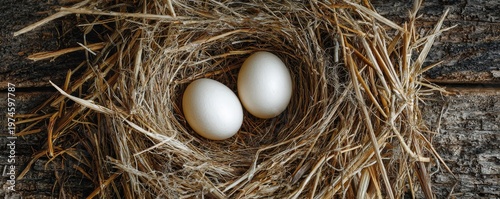 Two Chicken Eggs in Nest Top View Natural Organic Farm Concept