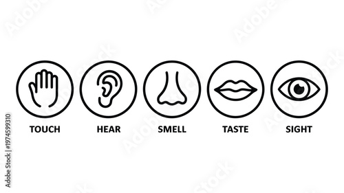 Five human senses are visually represented with simple line icons and labels