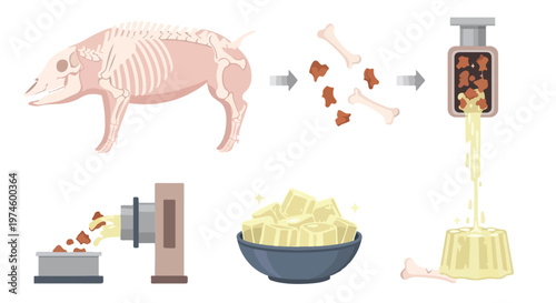 Infographic showing the industrial processing of animal remains into gelatin cubes