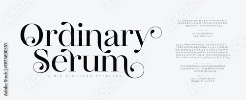 Elegant font, vintage type or luxury premium typeface, vector English royal alphabet. Classic typography in modern or old art deco style, serif letters for modern or retro poster font 
