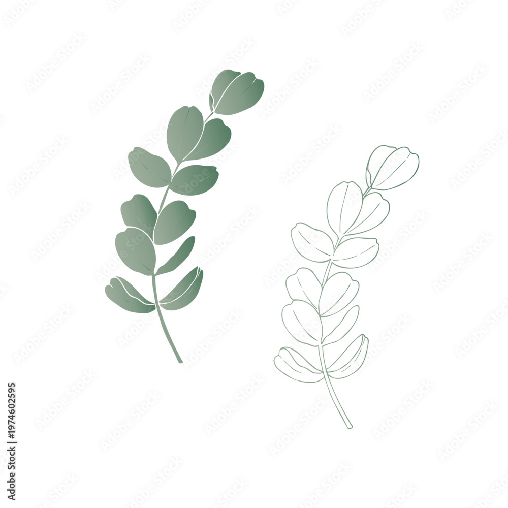 Obraz premium Vector green eucalyptus branch, graphic hand drawn isolated illustration. Botanical Christmas, winter, and wedding clipart. For designers, invitations, decoration, postcards, wrapping paper