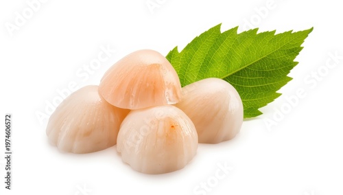 Raw scallops on a white background.
