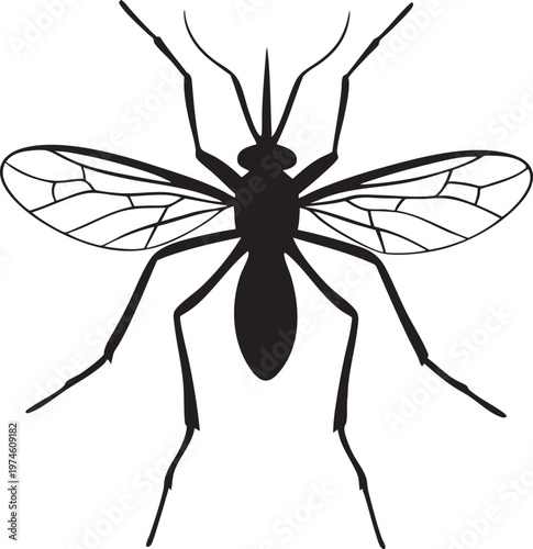 Mosquito Insect Silhouette Detailed Wings Legs Antennae Macro View Vector Graphic