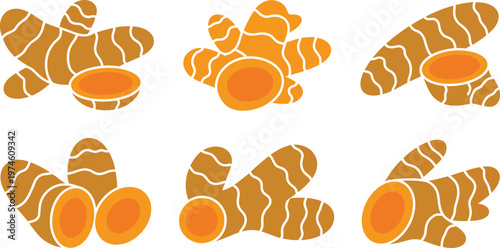 Turmeric roots and slices in various orientations on white background  healthy spice ingredients for cooking and medicine