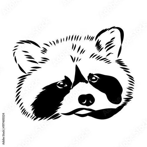 Bahamian raccoon, vector sketch