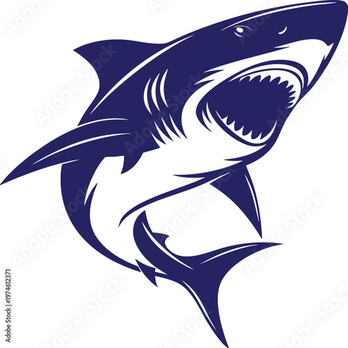 Aggressive Shark Attacking Open Mouth Vector Illustration Nautical Wildlife Marine Predator