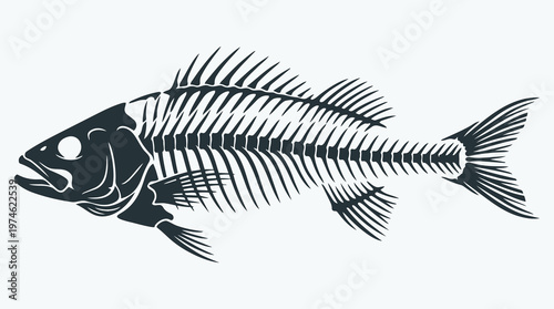 Anatomical Fish Skeleton Graphic Design Element