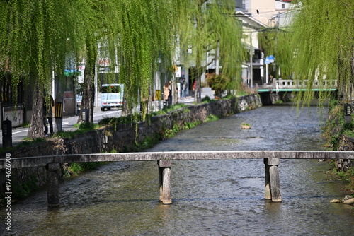 白川通