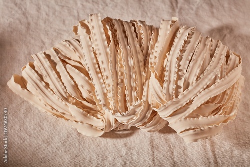 Chinese dried wide noodles