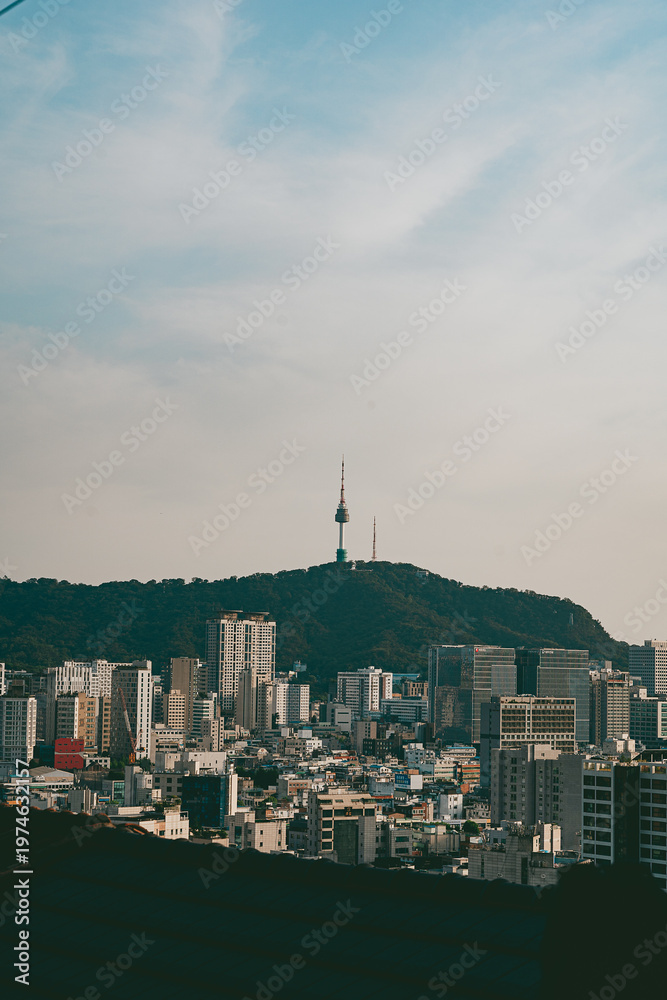 Obraz premium Seoul skyline with N Seoul Tower on Namsan mountain, South Korea